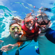 La Jolla Cove Snorkeling Family snorkeling in La Jolla Cove