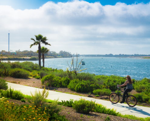 Bike rentals in Pacific Beach are an excellent way to explore the city on two wheels