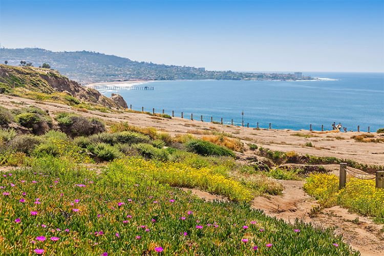 Picture at Torrey Pines Nature Preserve looking down the coast to La Jolla