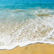 Ultimate Summer Vacation Guide to Coastal San Diego