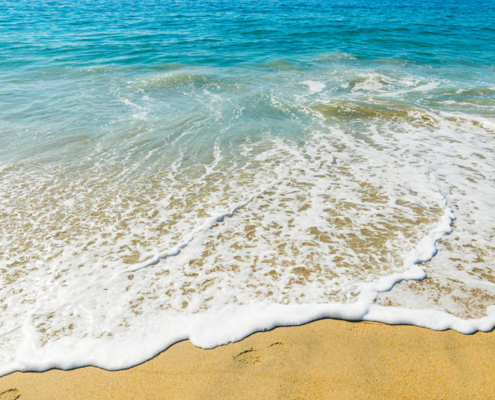 Ultimate Summer Vacation Guide to Coastal San Diego