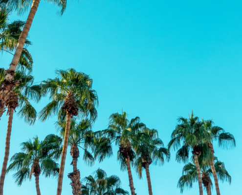 How to Plan a High-End Coastal Vacation in San Diego