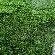 Make Your Southern California Trip Count During FIFA World Cup 2026